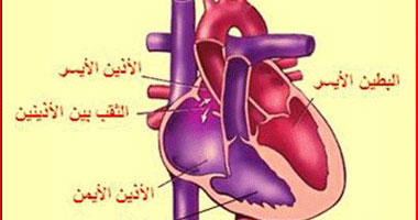 ما علاج ثقب جدار القلب بين الأذينين؟