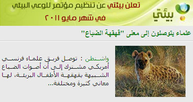 علماء يتوصلون إلى معنى "قهقهة الضباع "