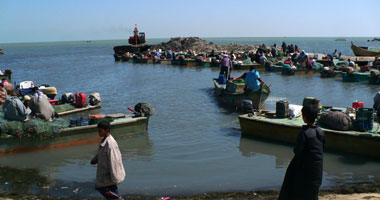 ضبط 80 صيادا ببحيرة البردويل لعملهم خلال "فترة المنع"
