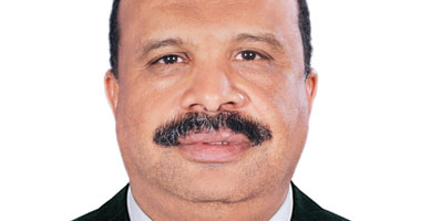 تعيين أسامة عبد الوارث رئيسا لصندوق آثار النوبة