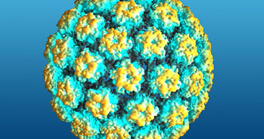 ما هو فيروس الورم الحليمى البشرى؟