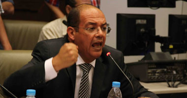 محمد شردى: الغنوشى وصف تصرفات إخوان مصر بـ"الصبيانية"