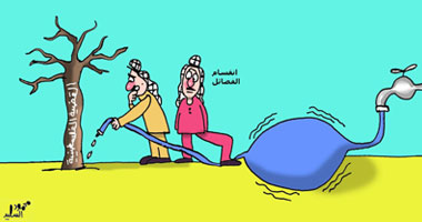 انقسام الفصائل