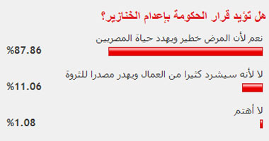 80% من قراء اليوم السابع يؤيدون إعدام الخنازير