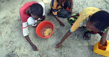 مدير "فاو": سوء التغذية وراء نصف وفيات الأطفال فى العالم