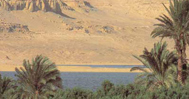 الفتوى والتشريع: بحيرة قارون محمية طبيعية ويحظر على محافظة الفيوم تأجيرها 