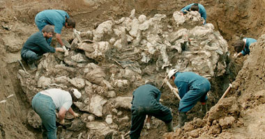 العثور على مقبرة جماعية تضم رفات 80 جثة مجهولة الهوية شمال بنغازى