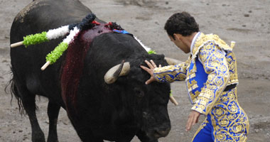 احتجاجات فى إسبانيا على خفض دعم مصارعة الثيران 