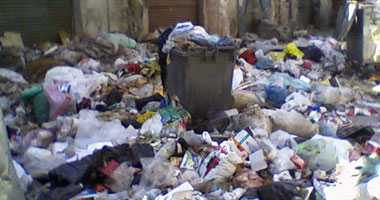 لجنة الصحة بمحلى الفيوم تنتقد انتشار القمامة والمياه الراكدة ببعض الأحياء