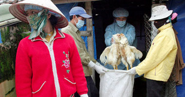 وفاة حالتين مصابتين بمرض أنفلونزا الطيور شرق الصين