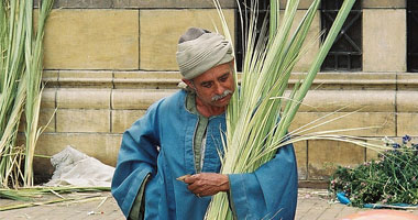 يديعوت: مصر منعت تصدير سعف النخيل لإسرائيل