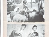 صور نادرة للفنانة سامية جمال ومحسن سرحان مع خروف العيد