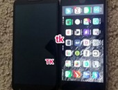 صورة تجمع بين هاتفى Nexus 6 وآى فون 6 بلس
