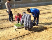الجامعة الأمريكية تطلق برنامج "ازرع قطعة أرض" للطلاب