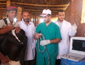 "بيطرى جنوب سيناء": دعم المديرية بجهاز سونار للكشف على الماشية