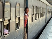 عودة قطارات القاهرة الإسكندرية بعد رفع الشجرة عن القضبان بين قلما وسنديون