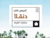 دار الكرمة تعيد نشر رواية "دُنقلا" لإدريس علىّ