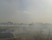 تزامنا مع قرب الاحتفال باليوم العالمى للهواء النظيف.. مصر تنجح فى القضاء على السحابة السوداء ومواجهة تلوث الهواء فى القاهرة الكبرى باستبدال المركبات القديمة.. والمخلفات بأنواعها تتحول لفرص استثمارية اقتصادية