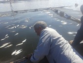 بالصور.. مساعد وزير الصحة يتابع معالجة نفوق الأسماك بالبحيرة وكفر الشيخ