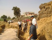 "البيئة" تعد خريطة لإعاة تدوير 38 مليون طن مخلفات زراعية سنويا