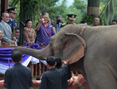 عفوا الفيلة أولا.. أميرة تايلاندية تطعم الفيلة فى بداية افتتاح غابات أقليم بوري