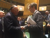 بعثة فرنسا الدائمة بالأمم المتحدة تبارك لمصر انتخابها بعضوية مجلس الأمن
