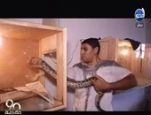 بالفيديو. مواطن يحول منزله لـ"بيت زواحف" بسبب حبه الشديد للثعابين