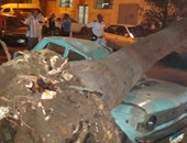 تهشم سيارة ملاكى إثر سقوط شجرة عليها بمنطقة الهرم 