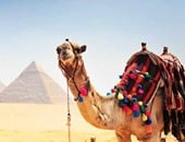 مسئول بمؤتمر السياحة العلاجية: مصر الأولى كمقصد للسياحة العلاجية 