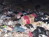 "صحافة المواطن".. انتشار القمامة بقرية "كفر سرنجا" فى الدقهلية