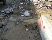"صحافة المواطن".. انتشار القمامة فى الشارع الجديد بمنطقة مسطرد