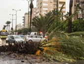 بالصور.. الطقس السيئ يضرب إسرائيل والرياح الشديدة تسقط عدد من الرافعات