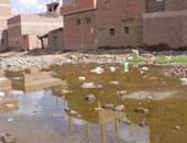 صحافة المواطن.. قرية طنط الجزيرة بالقليوبية غارقة فى مياه الصرف الصحى