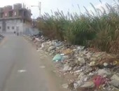 صحافة المواطن.. انتشار القمامة بقرية "دنديط" فى الدقهلية
