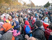 بالصور.. آلاف اللاجئين ينتظرون على الحدود بين النمسا وسلوفينيا