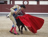 إصابة 6 أشخاص فى مهرجان "سان فيرمين" للركض أمام الثيران بأسبانيا