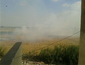 قارئ يشارك "صحافة المواطن" بصور حرق قش الأرز بجوار مدرسة بالدقهلية