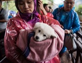 الحيوانات أولا.. الصينيون يحمون كلابهم من الأمطار بأغطيتهم الخاصة