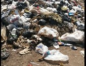 قارئ يشارك "صحافة المواطن" بصور تراكم القمامة فى منطقة قحافة بطنطا