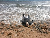 مصرع شاب غرقا بأحد شواطئ الغردقة أثناء ممارسة السباحة 