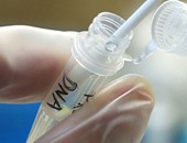 قوم اطمن على رجولتك.. اختبار "DNA" حديث يكشف عن الشذوذ الجنسى للرجال
