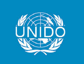 غدا..الأمم المتحدة تحتفل باليوم العالمى لضحايا الاختفاء القسرى