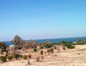 أجمل مناظر سيناء فى معرض المركز الثقافى الروسى لأول مرة