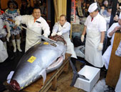 بيع سمكة تونة بـ1.38 مليون يورو فى مزاد باليابان