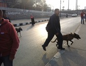 خبراء المفرقعات يمشطون محكمة جنح أكتوبر بواسطة الكلاب البوليسية