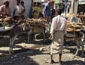 BBC: عودة الحمير لشوارع اليمن والحطب أصبح مصدرا للطاقة