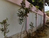 بالصور.. حى غرب شبرا الخيمة يواصل تنفيذ حملة "ازرع شجرة أمام المدارس"