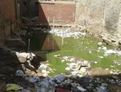 صحافة المواطن..بركة من مياه الصرف والقمامة فى منطقة حدائق الزيتون	