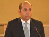 منظمة دولية: رصد ضعف الدعاية الانتخابية للمرشحين عن المصريين بالخارج