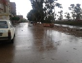 بالصور.. أمطار غزيرة وتوقف حركة الصيد فى كفر الشيخ
